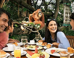 Сингапурский зоопарк. Завтрак с животными. Сингапур, отзыв. Цены на отдых. Как путешествовать самостоятельно, что посмотреть