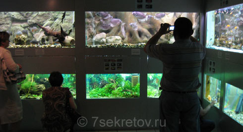 Аквариум. Новосибирский зоопарк, фото